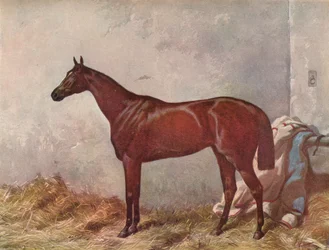 Hermit: vítěz Derby Stakes v Epsom, 1867, 1903