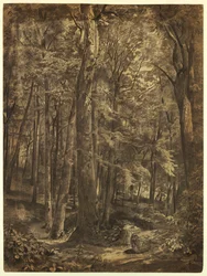 Kresba, V lese, studie k obrazu, June Woods, New York Historical Society, zapůjčeno z New York Public Library, 1864