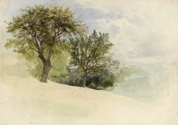 Krajina se stromy na stráni, 1880-85 (wc, grafit a doteky bílého kvaše na krémově silném tkaném papíře)