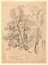 Studium listí, Trachselwald, Bern, Švýcarsko