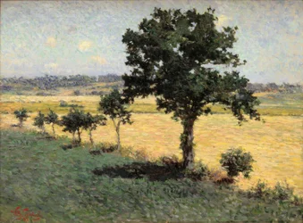 Venkov