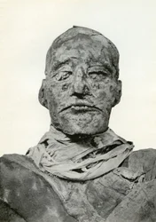 Hlava mumie Ramesese III., staroegyptského faraona 20. dynastie, c1156 př.nl 1926