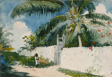 Zahrada v Nassau