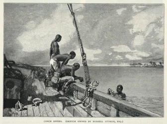 Hurikán, Pěstování konopí, Na ostrově Abaco, Prodavač květin, Potápěči s konšemi, z časopisu The Century Magazine, únor 1887