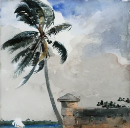 Tropický vánek, Nassau, 1889-90