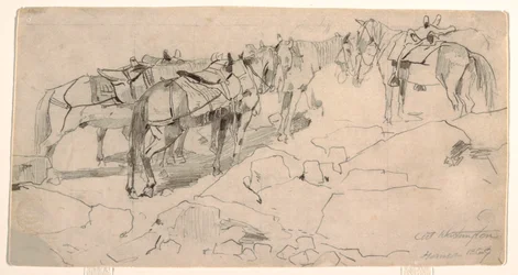 Kresba, Studie pro "Mount Washington" a "The Summit of Mt. Washington", 1869