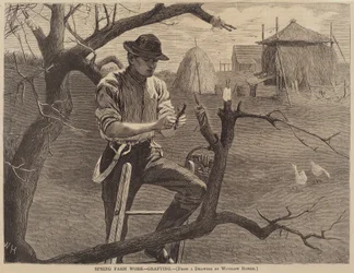 Jarní farmářské práce - roubování, vydáno 1870.