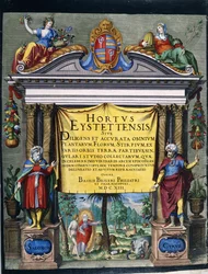 Vyrytý titul pro Florilegium „Hortus Eystettensis“ od Basilia Beslera