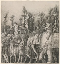 Triumf Caesara: Sloni