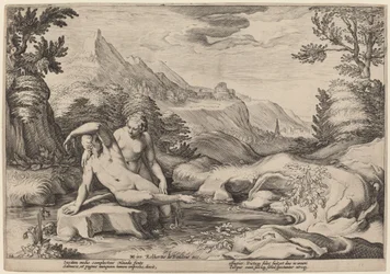 Salmacis a Hermaphroditus