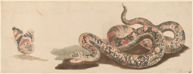 Had a motýl, 1680s1690.
