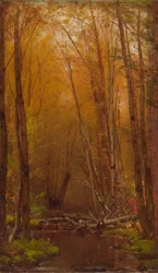Břízy v Catskills