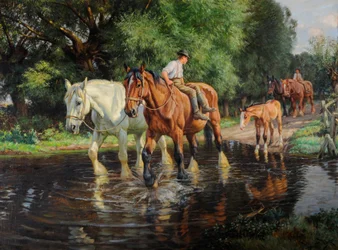 Farmářští koně a hříbě u brodu, asi 1915 (olej na plátně)