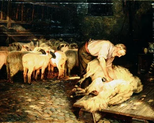 The Shearer (olej na plátně)