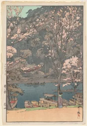 Osm scén třešňového květu: Arashiyama