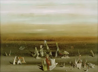 Amphiochus-Hnízdo