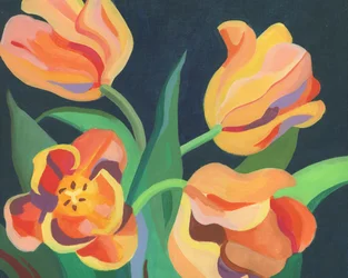 Zářivě oranžové tulipány