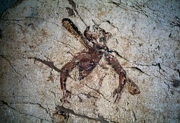 Fresco, ostrov Kos, Řecko (foto)