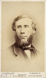 John Tyndall, irský fyzik, c 1875