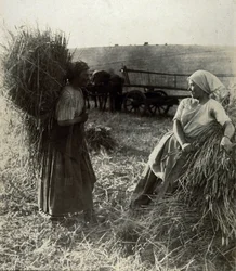 The Harvesters, kolem roku 1900
