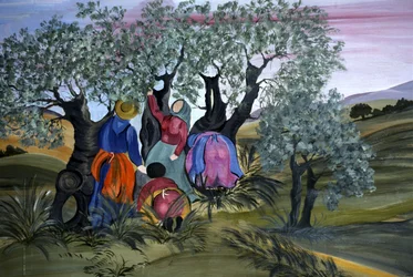 Sběr oliv, naivní Barbara Mencarelli, Mandoleto, Solomeo, Umbria, Itálie