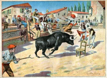 Býci v Camargue. Býčí zápasy v Camargue.