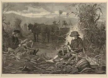 The Last Days of Harvest, z Harper