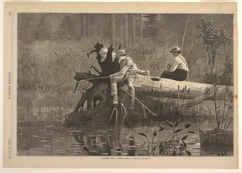Waiting for a Bite, z Harper