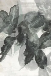 Monochromatický botanický motiv