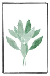 Jemná zelená botanická