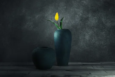 Zátiší se žlutým tulipánem