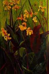 Canna Lily, 2017 (olej na plátně)