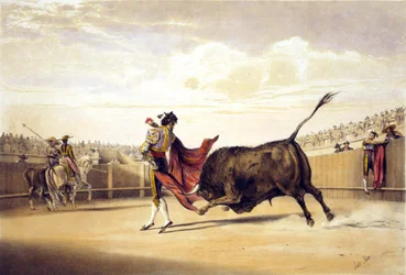 Bull nabíjení jako matador hraje mys